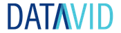 Datavid